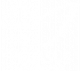 Pegasus-logo-weiß